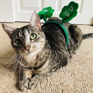 Meet your Posher, Lara